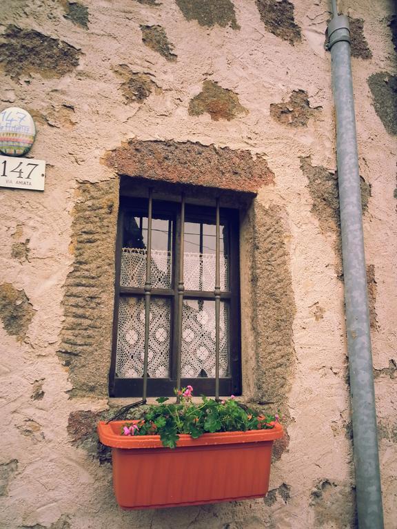 La Casa Di Adelina Apartman Vivo dʼOrcia Kültér fotó
