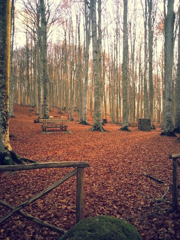 La Casa Di Adelina Apartman Vivo dʼOrcia Kültér fotó